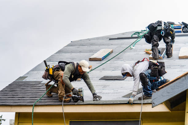 Professional Roofing technician working in Hayfield, MN